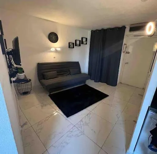 Magnifique Studio Renove En Plein Centre Ville.